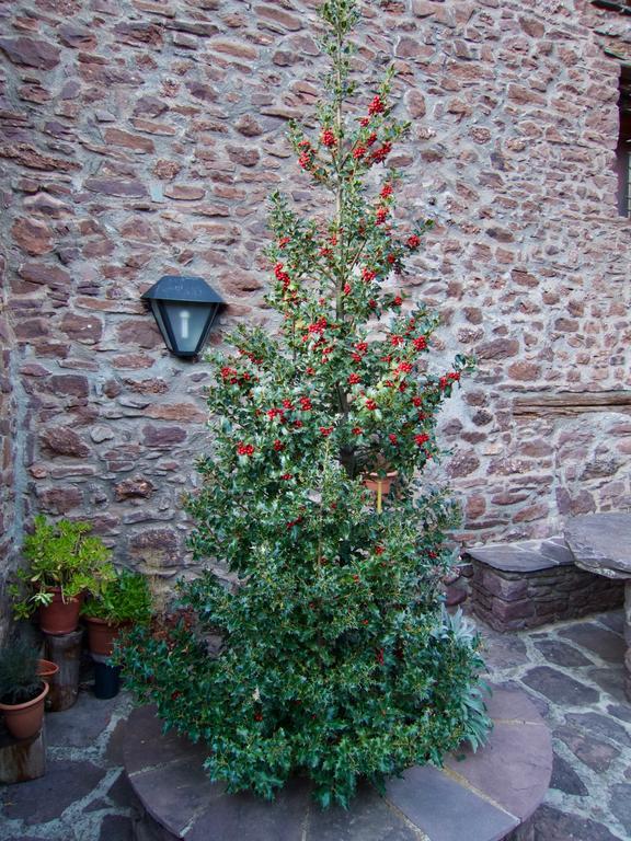 Turisme Rural Lo Palle De Cal Bosch Llagunes Exterior foto